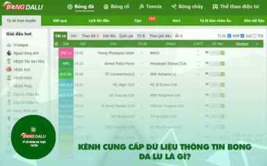 Bong Da Lu: Kết nối niềm đam mê bóng đá với bongdalu-vip.net